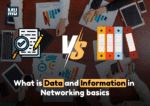 Data vs information in computer networking